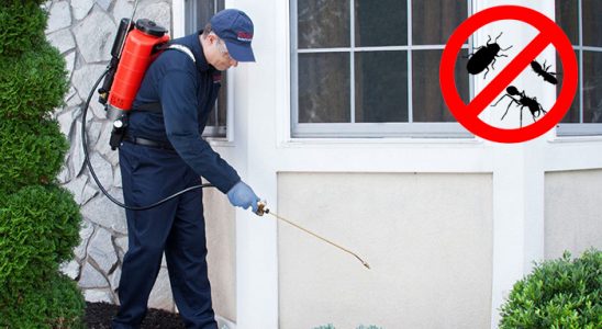 Palandöken Hamam Böceği İlaçlama böcek ilaçlama ve haşere kontrolü — ilaclama-tr.com
